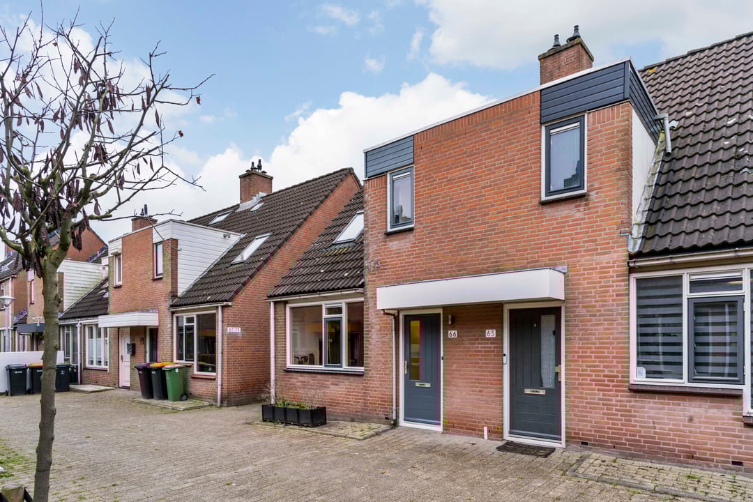 Foto 28 van Paardebloem 66