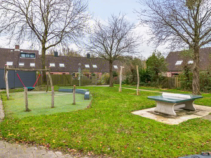 Foto 31 van Paardebloem 66