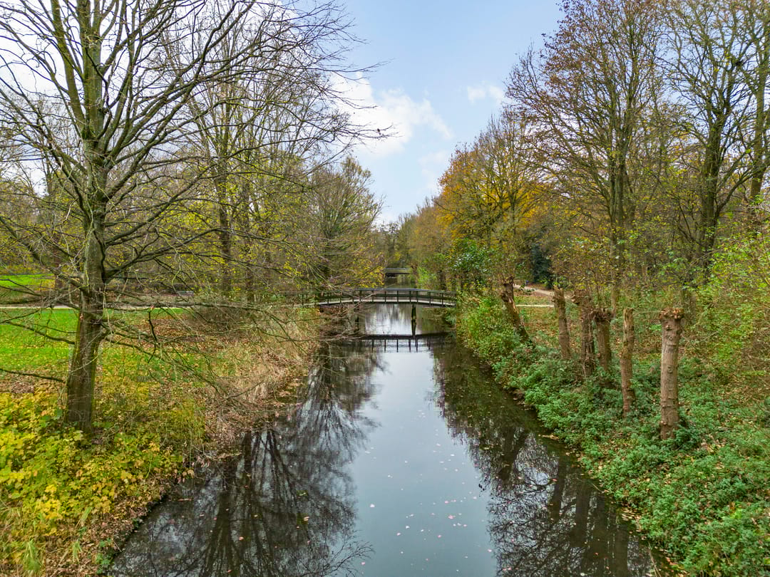 Foto 32 van Paardebloem 66