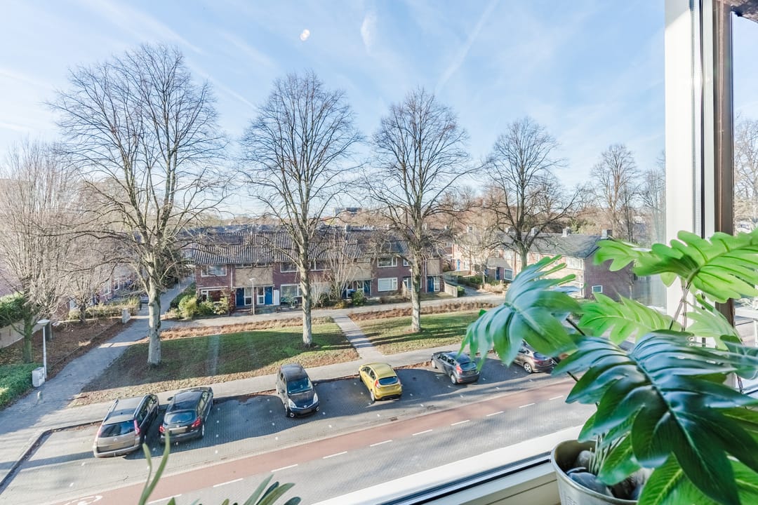 Foto 17 van Pisanostraat 86