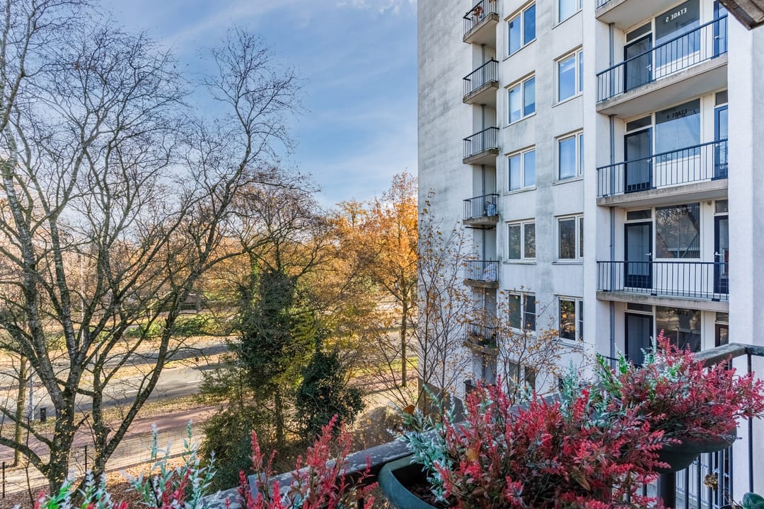 Foto 32 van Pisanostraat 86