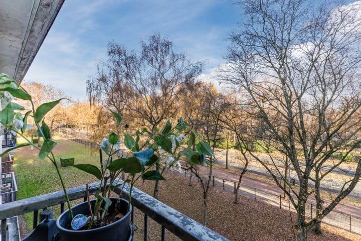 Photo 33 of Pisanostraat 86