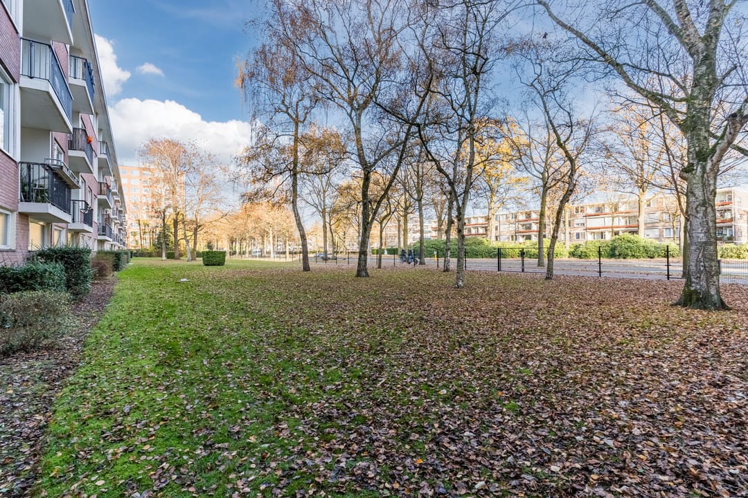 Foto 37 van Pisanostraat 86