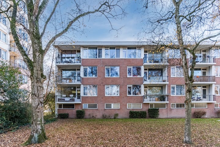 Photo 38 of Pisanostraat 86