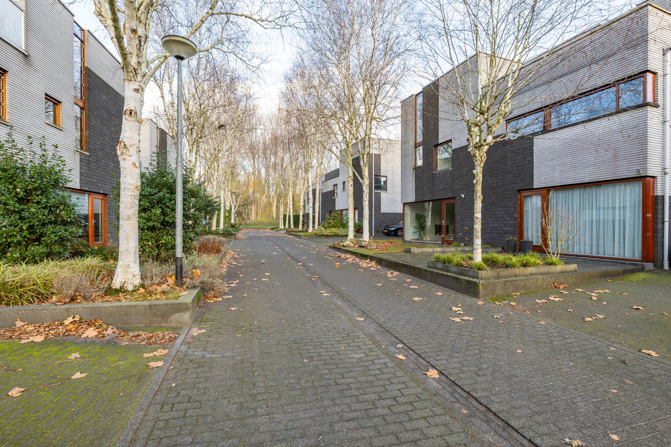 Foto 42 van Het Roege Bos 30