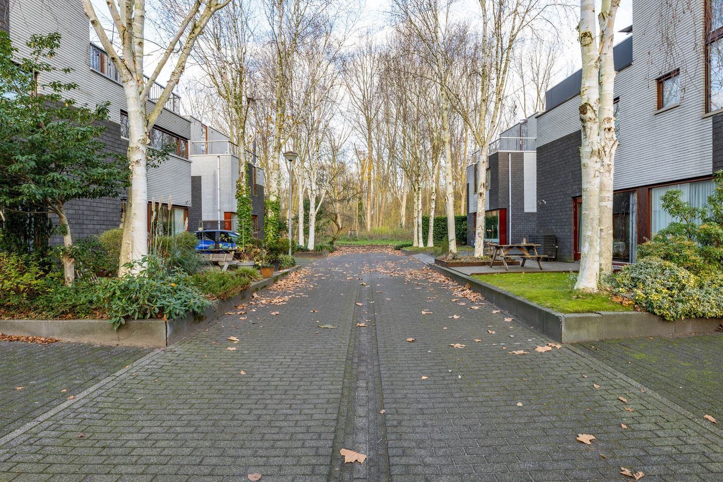 Foto 44 van Het Roege Bos 30