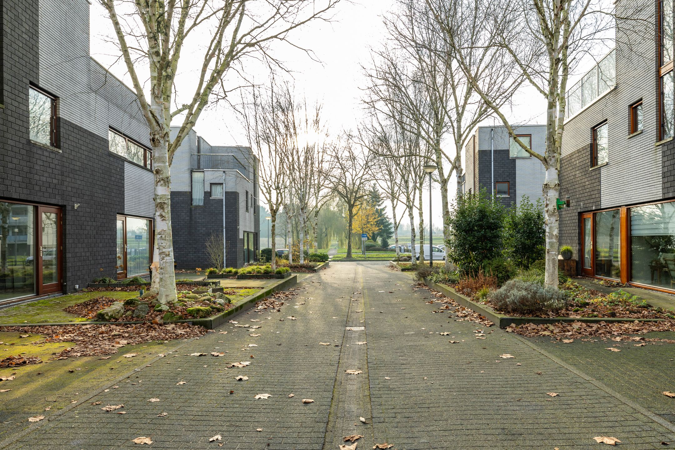 Foto 45 van Het Roege Bos 30