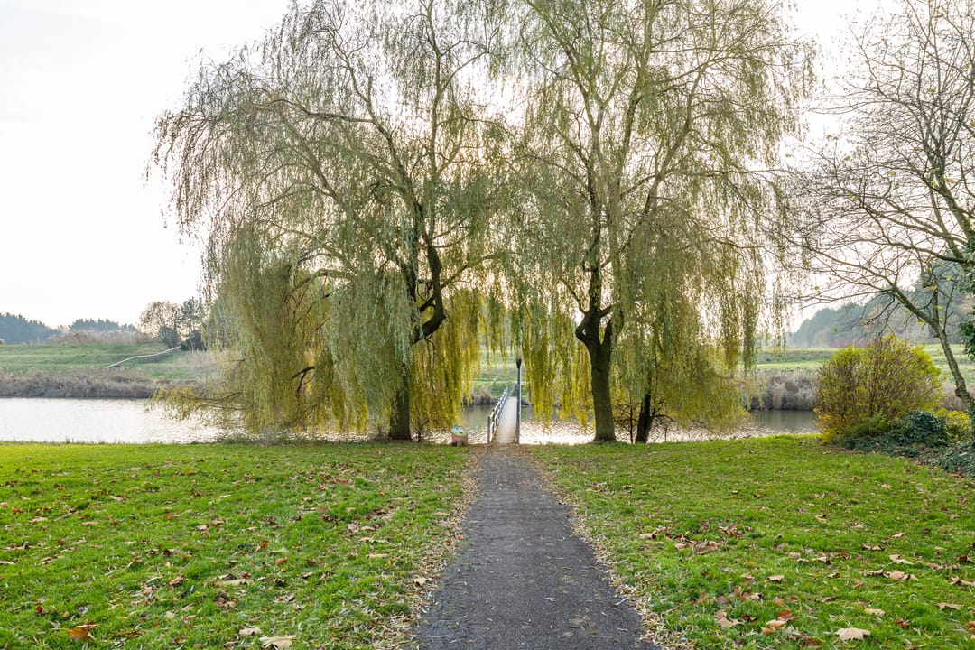 Foto 46 van Het Roege Bos 30