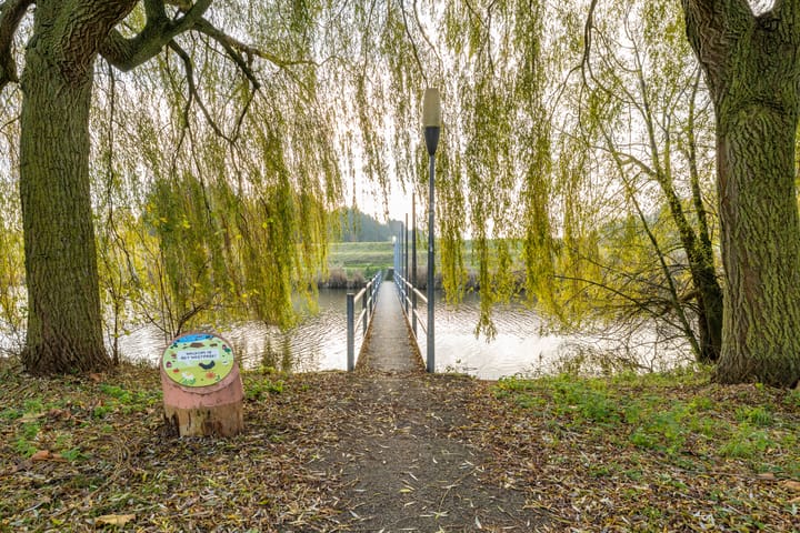 Photo 47 of Het Roege Bos 30