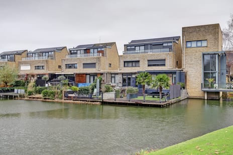 Struisgras thumbnail