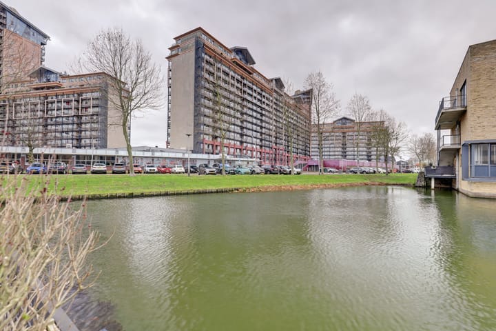 Foto 42 van Struisgras 5