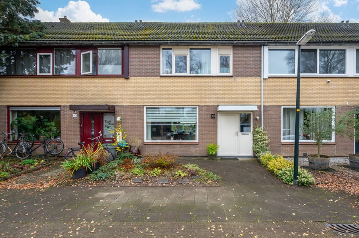 Foto 2 van Malrove 38