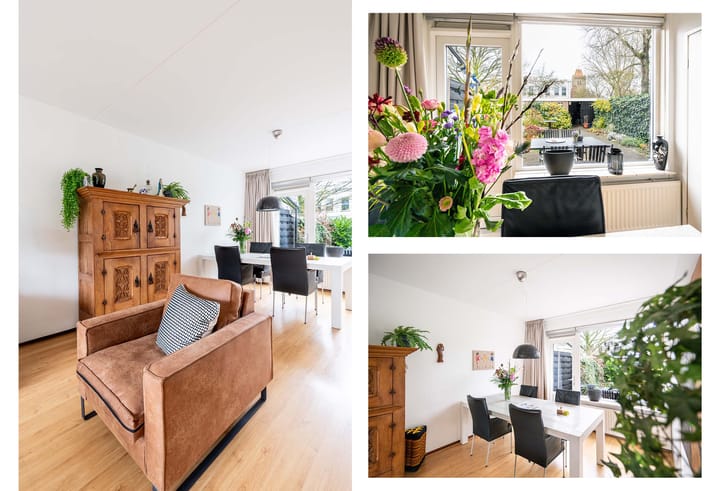 Foto 7 van Malrove 38