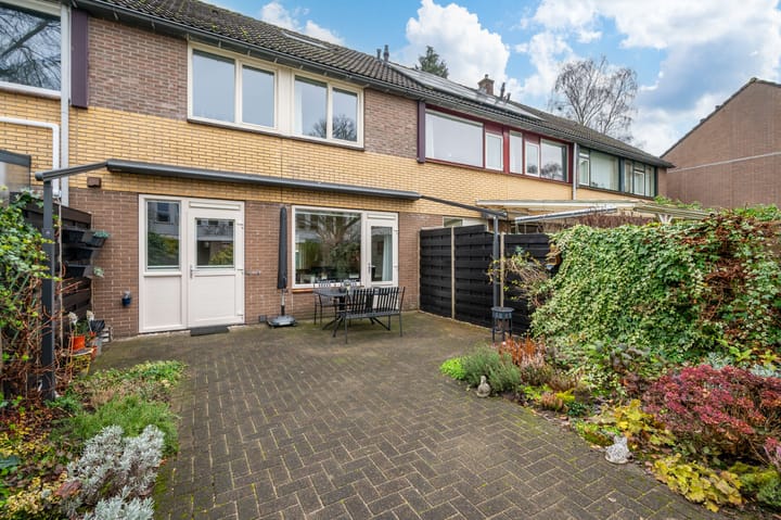 Foto 18 van Malrove 38