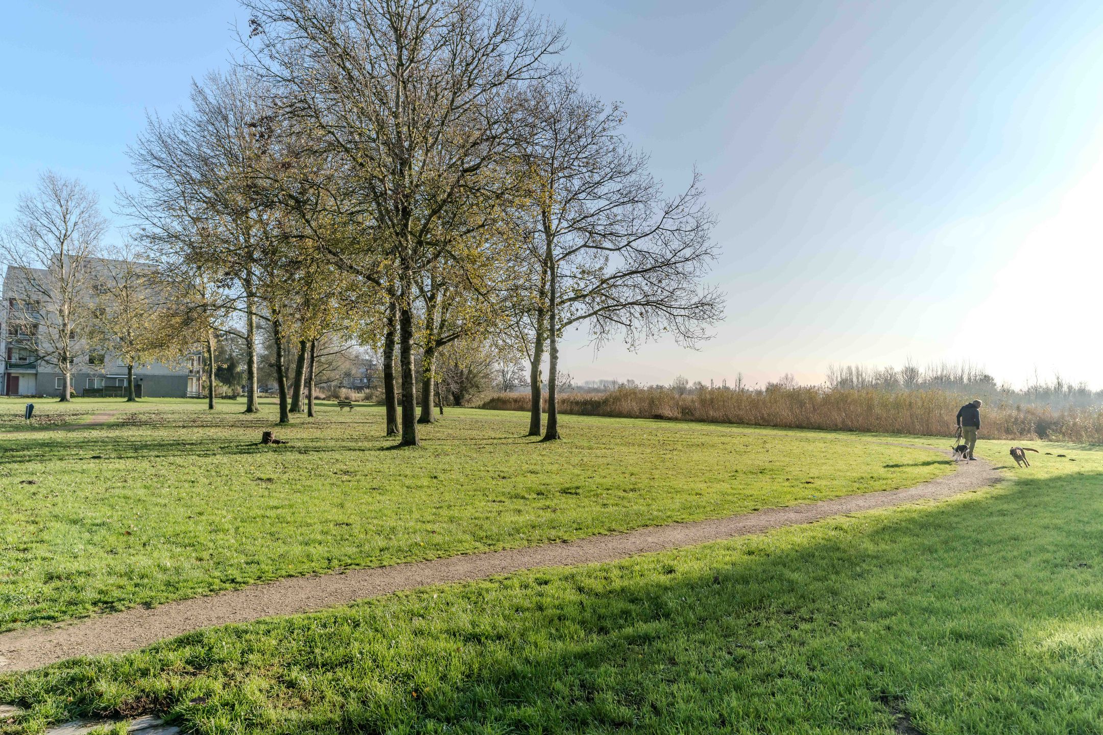 Photo 30 of Aziëlaan 246