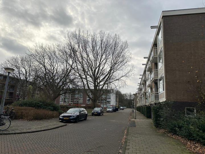 Photo 8 of Onstein 11