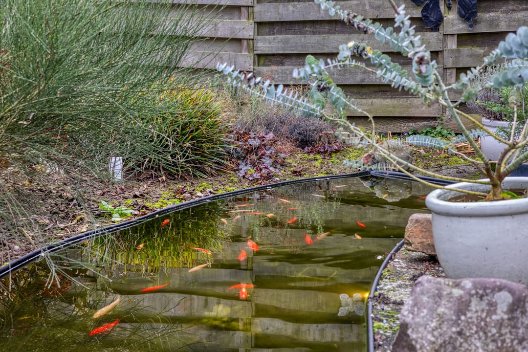 Foto 43 van F.J. Ebbensstraat 86