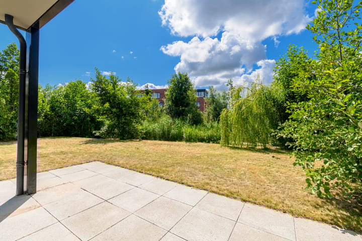 Foto 36 van Grote Lijster 3