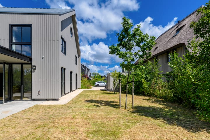 Foto 39 van Grote Lijster 3