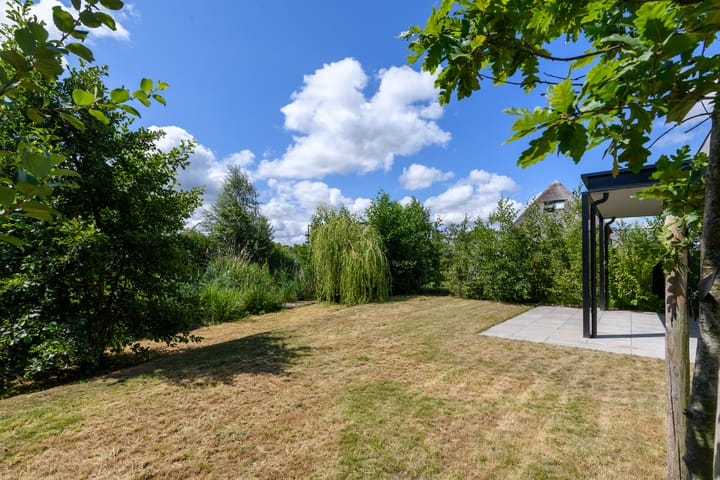 Foto 35 van Grote Lijster 3