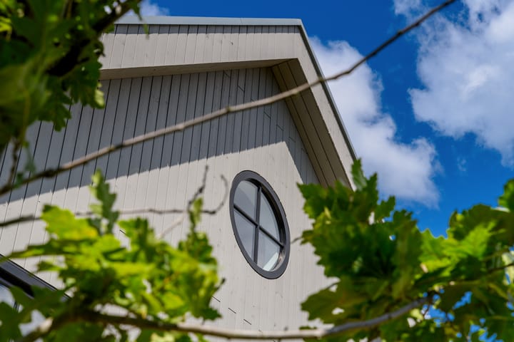 Foto 44 van Grote Lijster 3