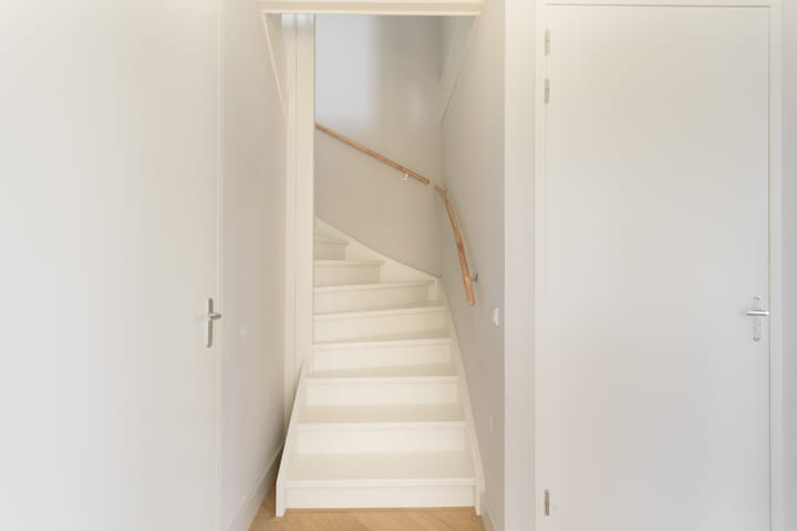 Foto 25 van Grote Lijster 3