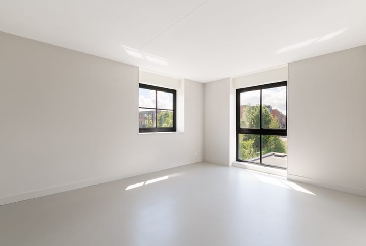 Foto 28 van Grote Lijster 3