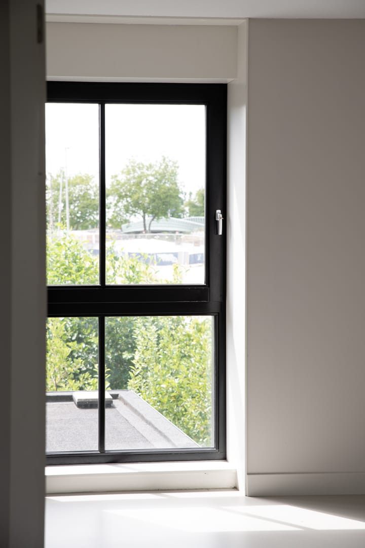 Foto 27 van Grote Lijster 3