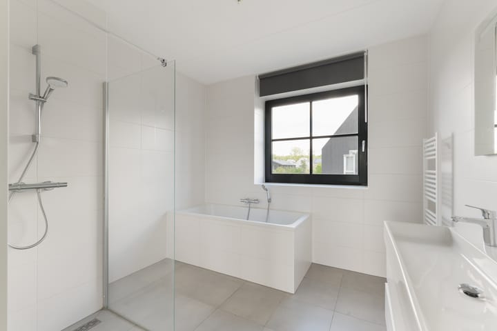 Foto 29 van Grote Lijster 3