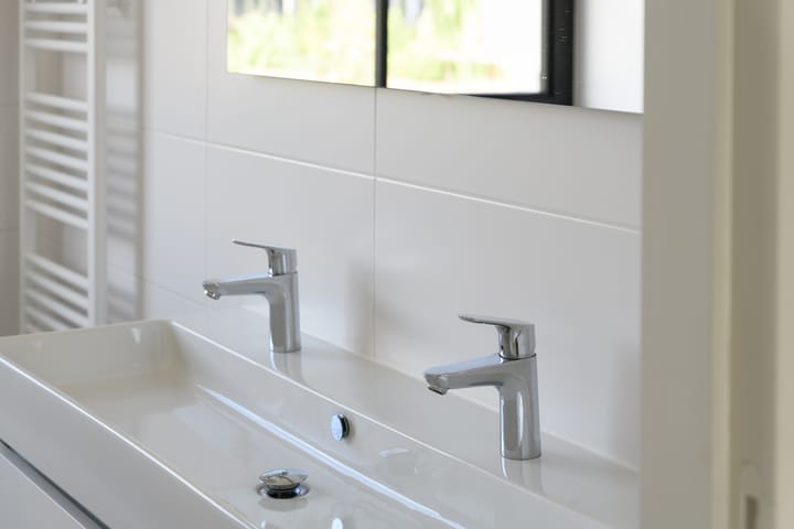 Foto 30 van Grote Lijster 3