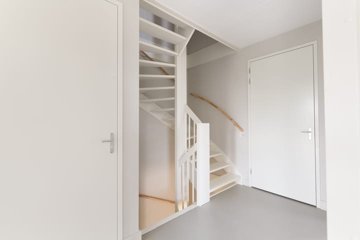 Foto 32 van Grote Lijster 3