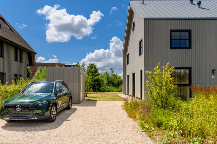 Foto 42 van Grote Lijster 3