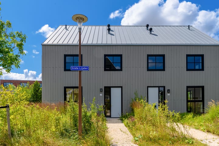 Foto 40 van Grote Lijster 3