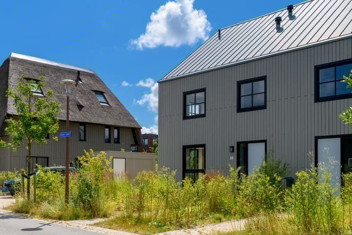 Foto 41 van Grote Lijster 3