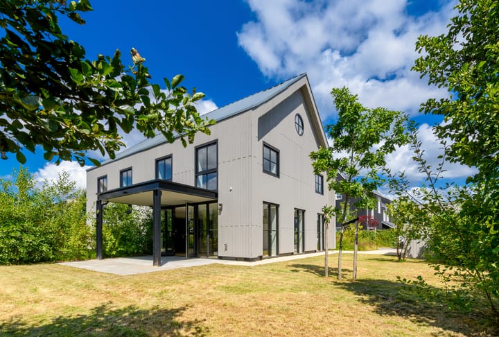 Foto 2 van Grote Lijster 3