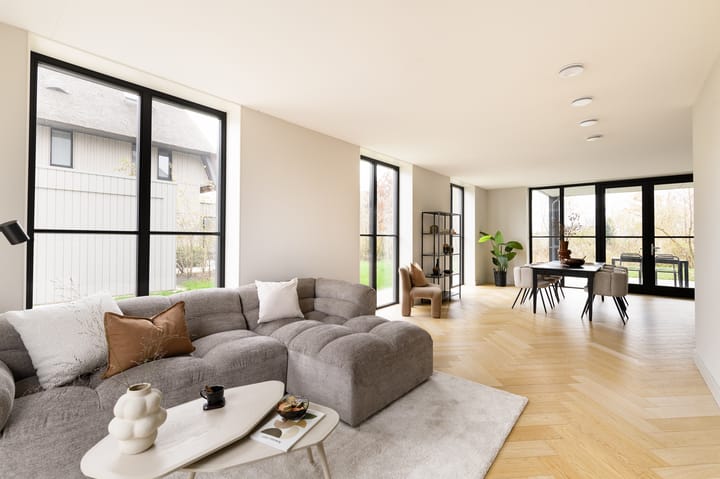 Foto 3 van Grote Lijster 3