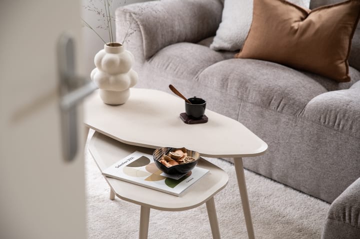 Foto 5 van Grote Lijster 3