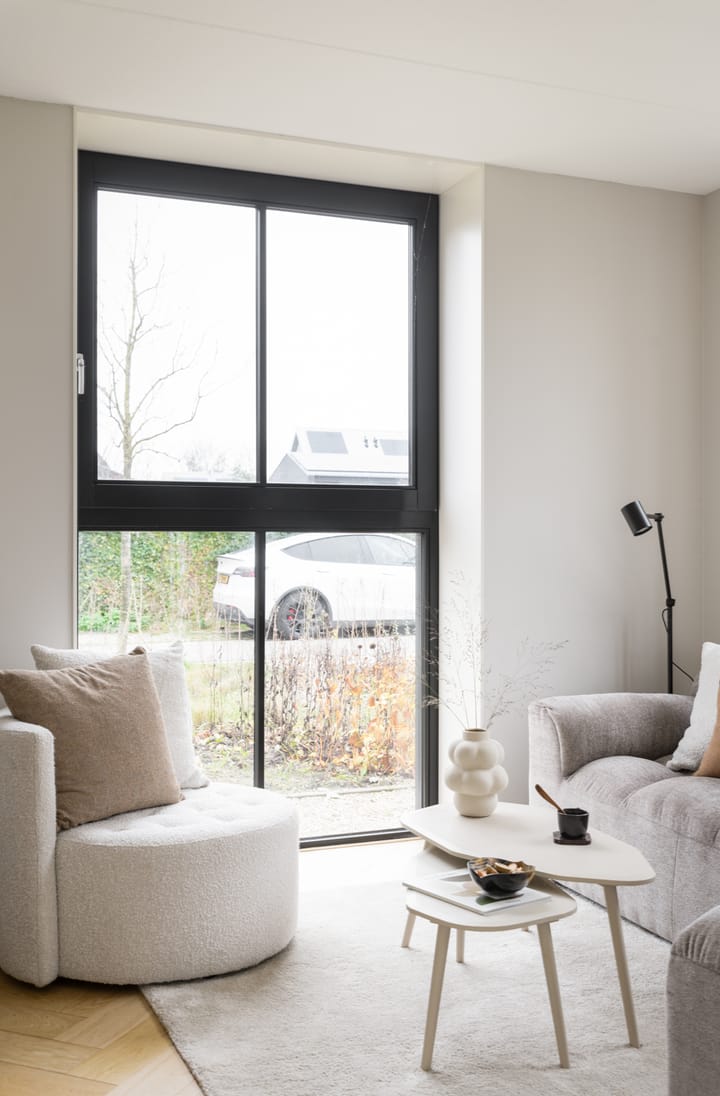 Foto 6 van Grote Lijster 3