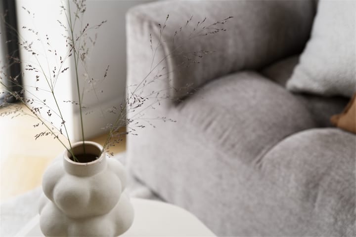 Foto 8 van Grote Lijster 3