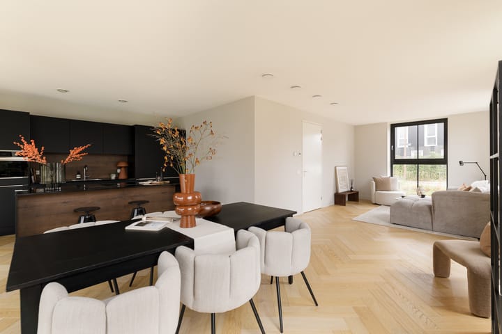 Foto 13 van Grote Lijster 3