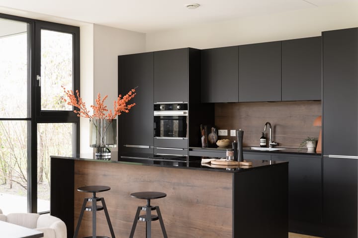 Foto 15 van Grote Lijster 3