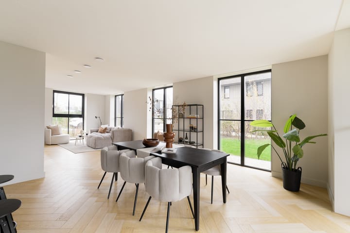 Foto 20 van Grote Lijster 3