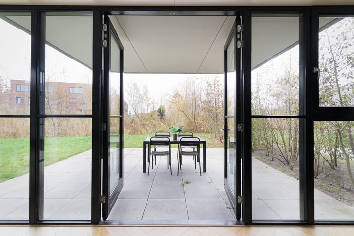 Foto 22 van Grote Lijster 3