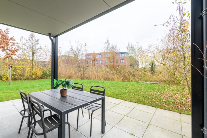 Foto 23 van Grote Lijster 3