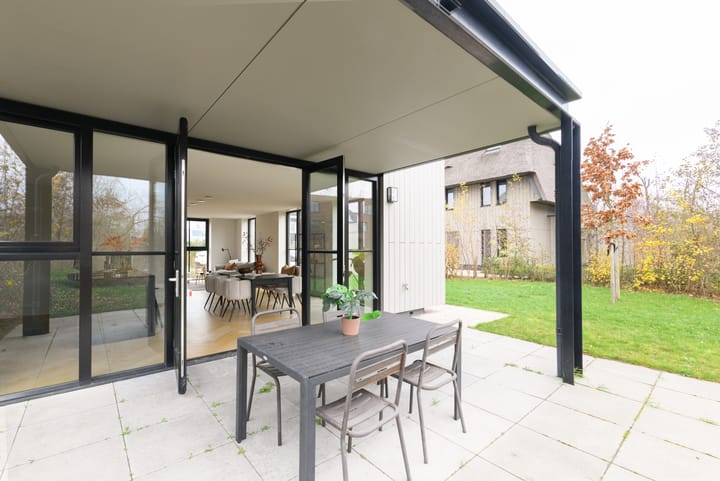 Foto 21 van Grote Lijster 3