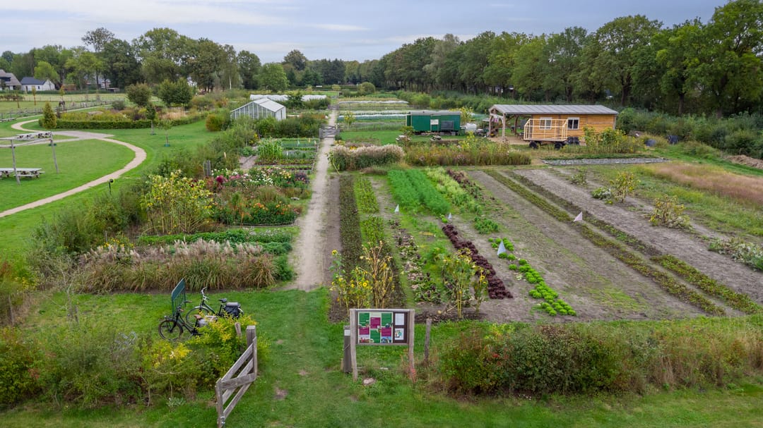 Foto 56 van Prins Clausstraat 16