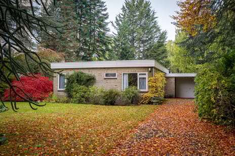 Rozenhoflaan thumbnail