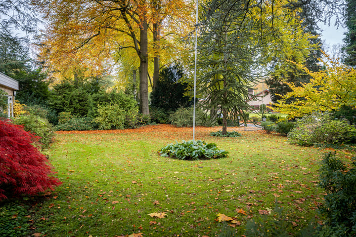 Foto 2 van Rozenhoflaan 3