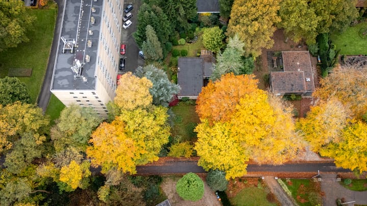 Foto 22 van Rozenhoflaan 3