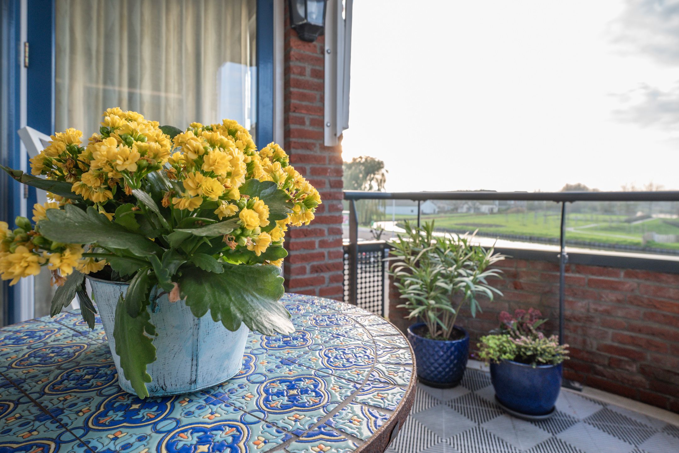 Foto 18 van Noordeindse Hof 13